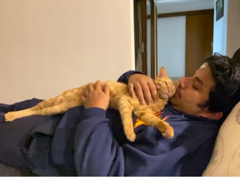 Sailen Ghosh with his cat Gutsu.