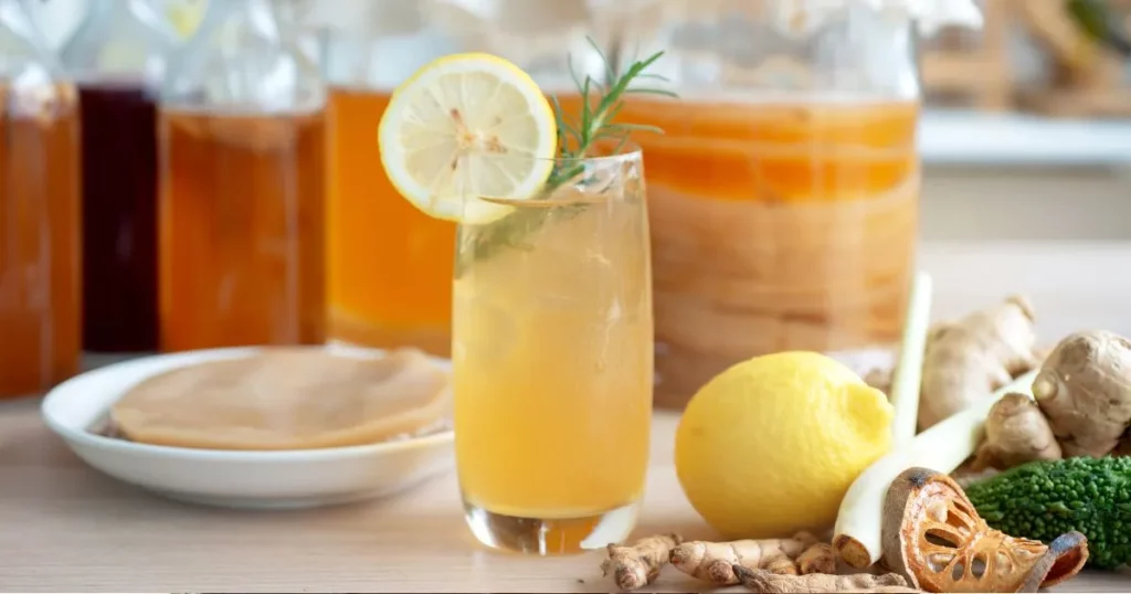 Kombucha in Russia