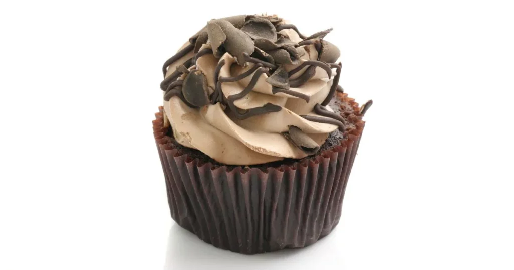 Chocolate Fudge Cupcake