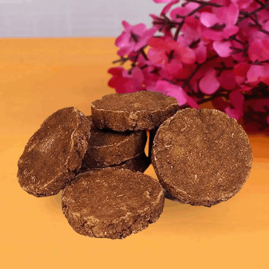 Cow dung cakes - Holika Dahan Samagri 