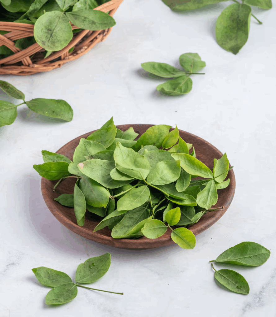 Belpatta  - Maha Shivratri Puja Samagri