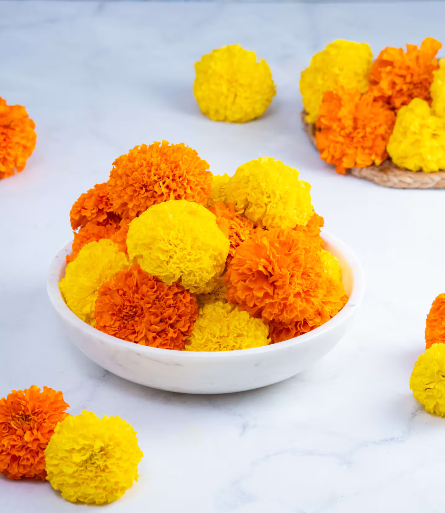 Marigold flowers