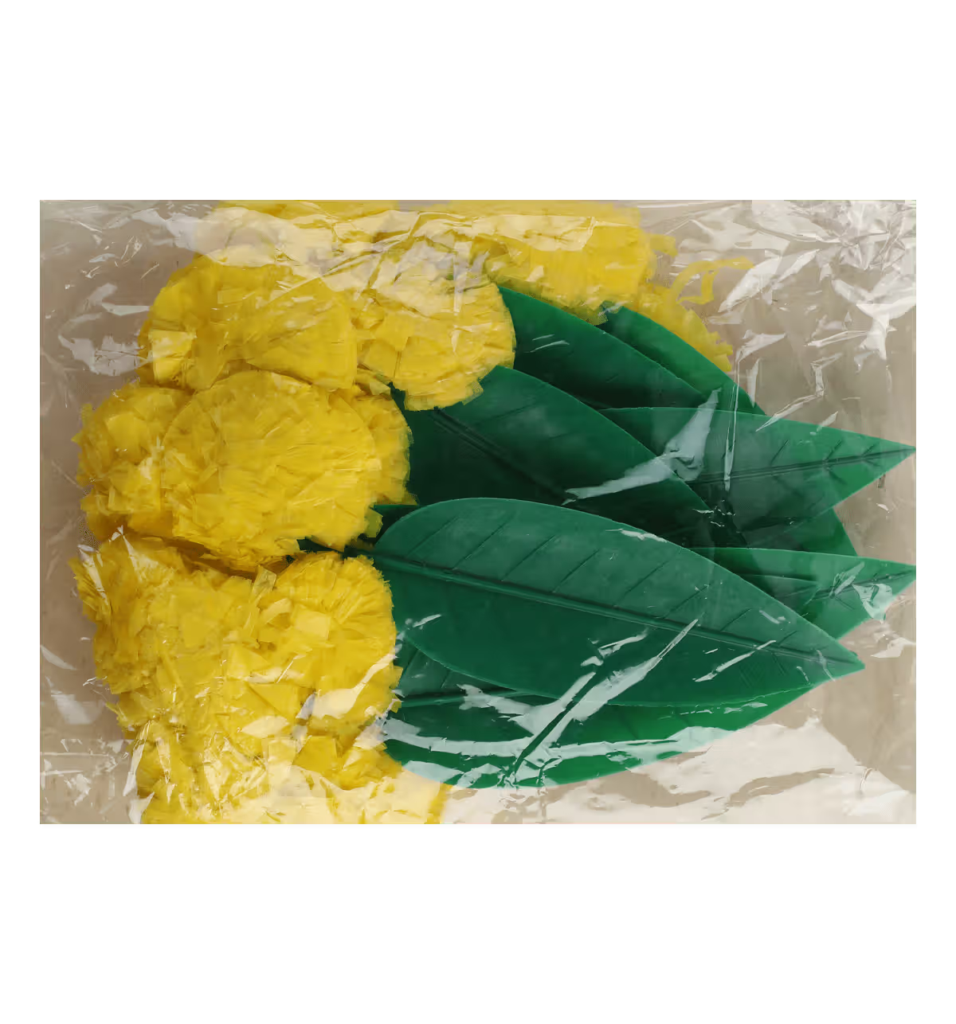 Mango leaves - Gudi Padwa Pooja Samagri